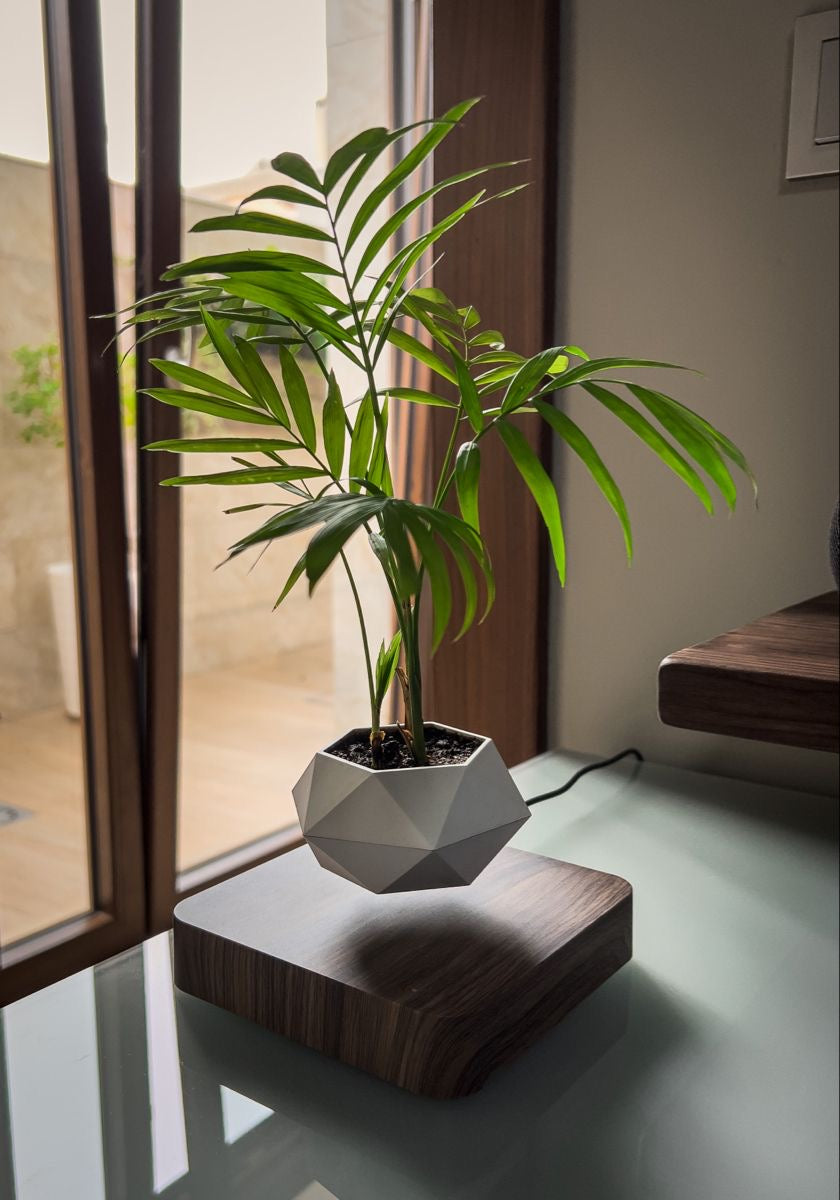Levitating Flower Pot