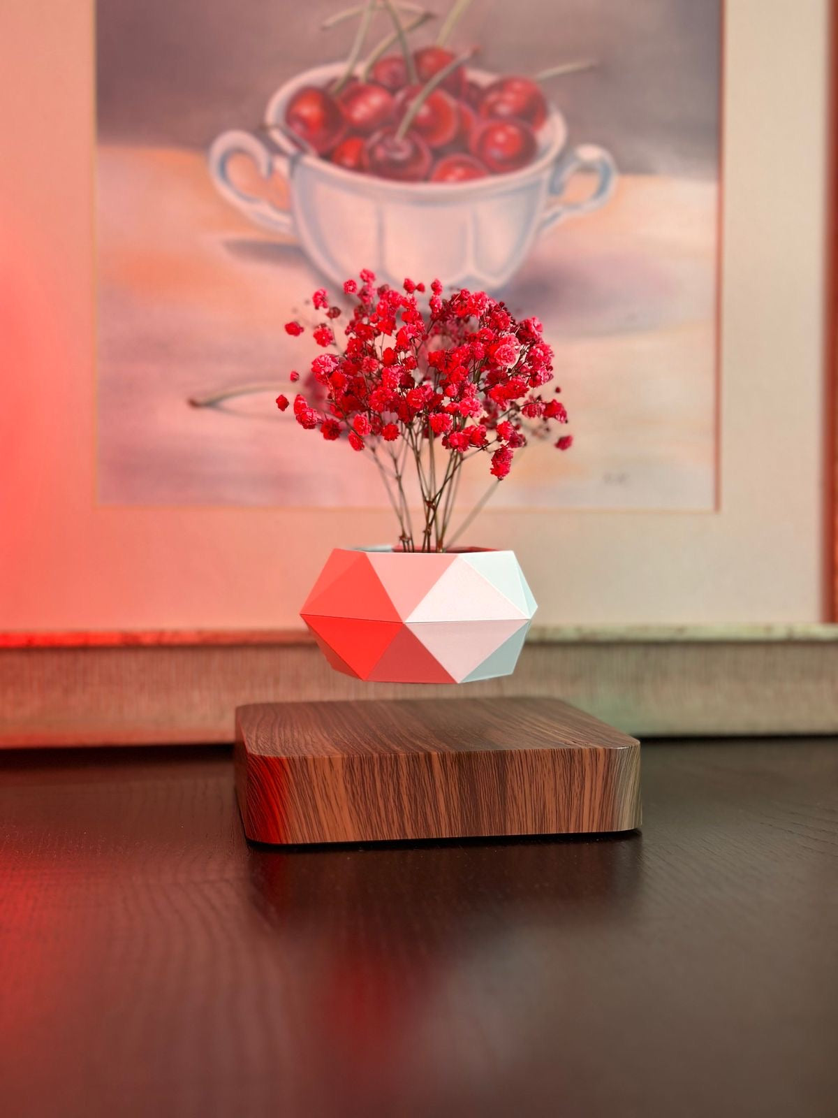 Levitating Flower Pot